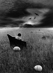 The Bird Catcher
